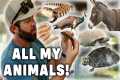 Forrest Galante's Home Zoo Tour |