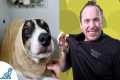 Simple Hacks To Bath Your Dog -