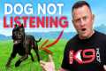 3 Reasons WHY Your Dog REFUSES to