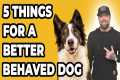 You Must Master These 5 Things For a