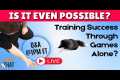 Creating a Well Trained Dog With
