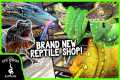 TOURING A BRAND NEW REPTILE SHOP IN