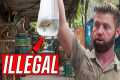 Undercover Inside an Illegal Exotic