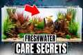 30 Freshwater Aquarium Tips Every