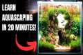2025 Complete Aquascaping Beginners