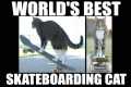 World's Best Skateboarding Cat! Go