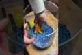 $50 Dollar Fish Aquarium Challenge at 