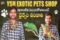 Exotic Pets Shop In Hyderabad || Ysh