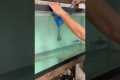 Buying SUPER RARE Aquarium FISH!!