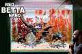 FULL AQUARIUM BUILD - Red Betta Fish