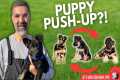 3 MUST KNOW Puppy Tricks for