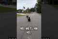 6 Year Old Trains Cane Corso