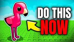 5 Things YOU NEED TO DO Before SUMMER UPDATE! (Grow a Garden)