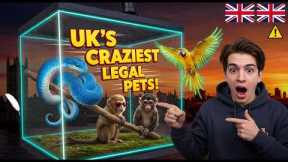 Top 10 Exotic Pets You Can Legally Own in the UK 🐍🦜 | Unbelievable Animals!