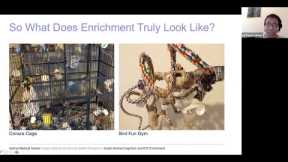 Enrichment for Exotic Pets