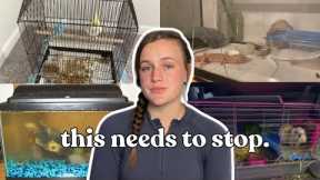 The Common Neglect of Small and Exotic Pets