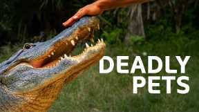 Owning An Exotic Pet Goes Wrong | Predator Pets Mega Marathon