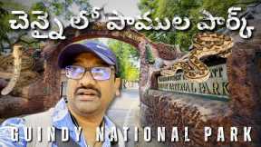 🌳 Guindy National Park & Snake Park Chennai 🐍 | Wildlife Adventure in Tamil Nadu | Must Visit 2025!