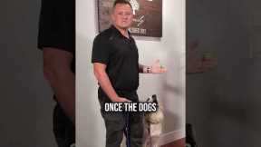 How to Get Your Dog to Stop Jumping on Guests at the Door