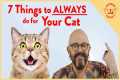 Instantly Improve Your Cat's Life