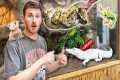 MASSIVE REPTILE STORE TOUR!! (New pet 