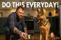 5 Dog Training Exercises You Should