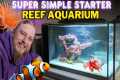 How to Set Up a Saltwater Aquarium: