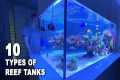 10 TYPES OF REEF AQUARIUMS - Reef