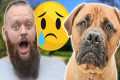 Harmful Things You Do To Your Dog