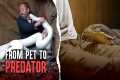 When Exotic Pets Snap
