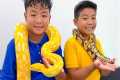 Alex Eric and Ellie Reptile Animal