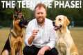 Dog Training MISTAKES In The TEENAGE