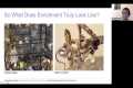 Enrichment for Exotic Pets