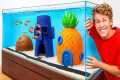 Best Fish Tank Wins $1,000!