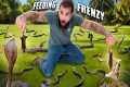 Feeding 20 VENOMOUS SNAKES!