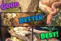 What is the BEST Ball Python