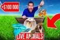 $100,000 Reptile UNBOXING! (Indonesia 