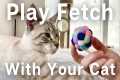 Teach your CAT to play FETCH! Simple
