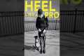 How to teach your dog the heel