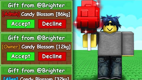 Begging Until I Get ADMIN Candy Blossom