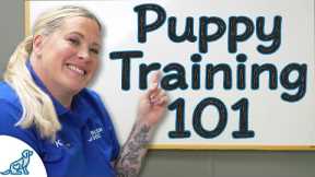 Your Ultimate Step-By-Step Puppy Training Schedule (By Age)