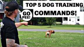 Master These 5 Commands and Change Your Dog’s Life