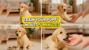 Train your puppy in just 5 minutes!