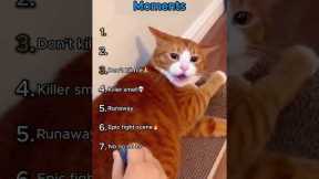 Best Cat Prank Moments!
