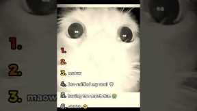 Ranking Funniest Cats Under Surveillance 🎥