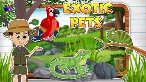 Types of Exotic Pets | Pet for kids | Learning for kids | Puntoon Classroom