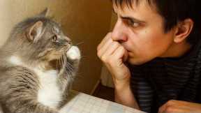 When Your Best Friend is the Silliest Cat 😂 Funny Cat and Human