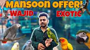 Mansoon Offer at Wajid Exotic only High Exotic Breeds!