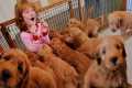 9 PUPPY SURPRiSE for Adley &
