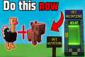 Get AGE 50 Pets in 1 Day Using These